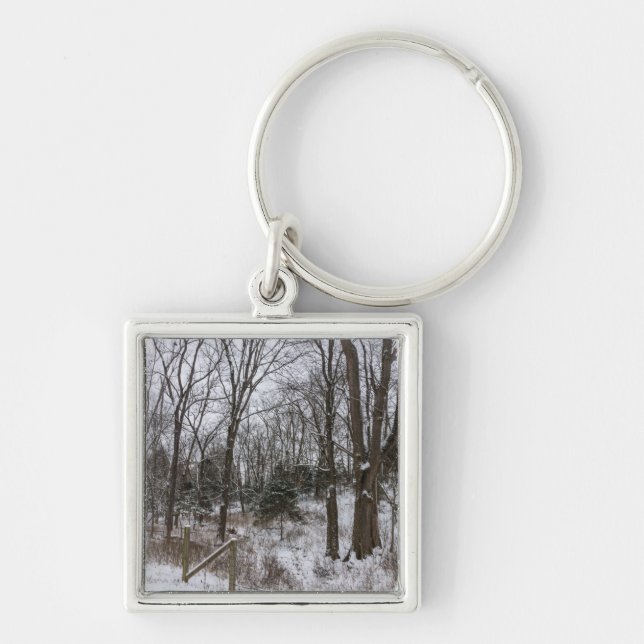 Porte-clés Jour de la neige du bois (Devant)