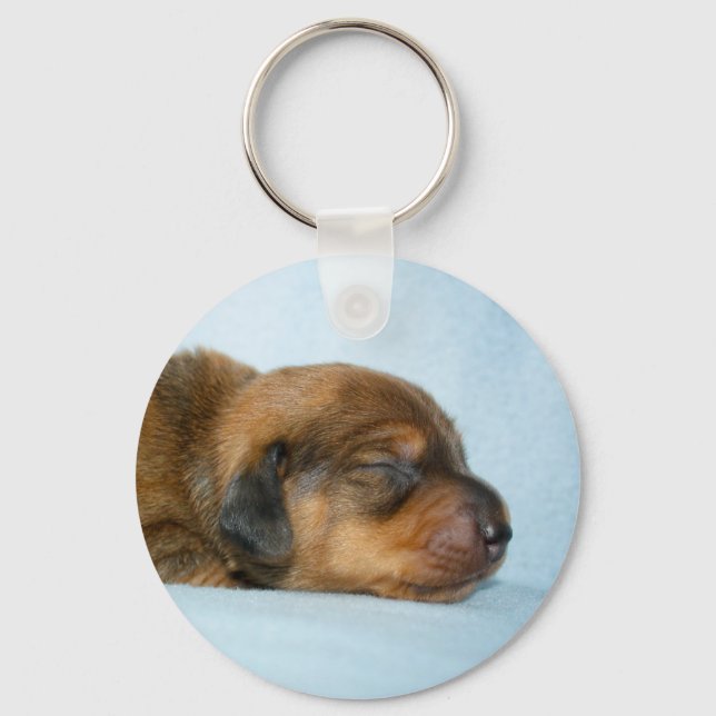 Porte-clés Jovi 1 wk-Lovebugdoxies (Recto)