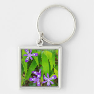 Porte-clés Joyce Kilmer-Slickrock Wilderness 2