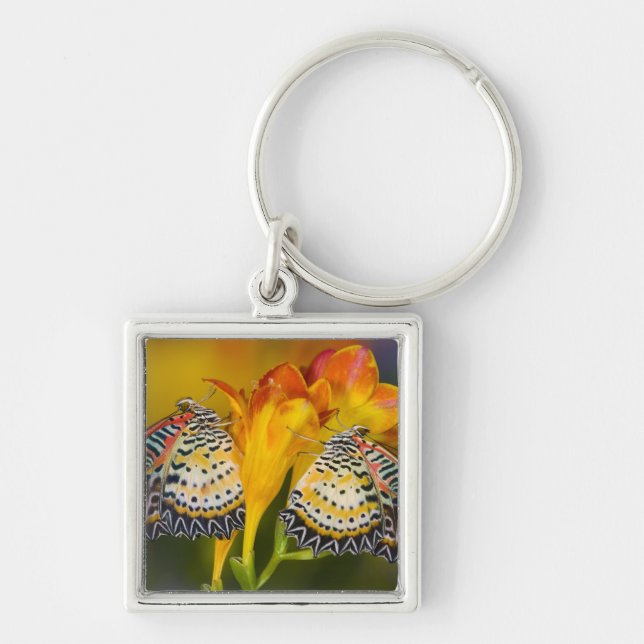 Porte-clés Jumeaux de papillons tropicaux (Devant)