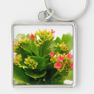 Porte-clés Kalanchoe blossfeldiana