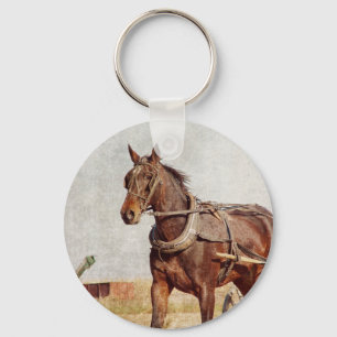Porte-clés Kalona, Iowa Amish Horse and Buggy