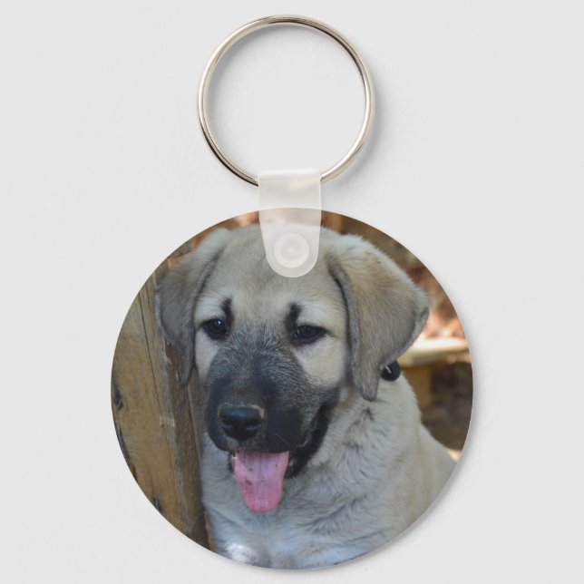 Porte-clés Kangal - Chien à mouton anatolien (Recto)