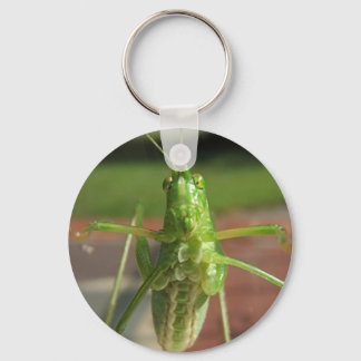 Porte-clés Katydid ~ porte - clé