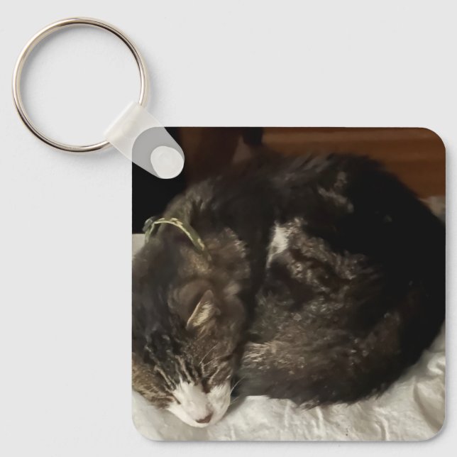 Porte-clés Keeno porte - clé de cercle parfait (Recto)