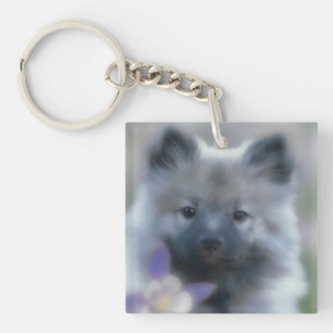 Porte-clés Keeshond et Columbine - Photo de chien