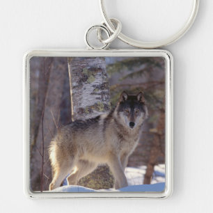 Porte-clés Keychain