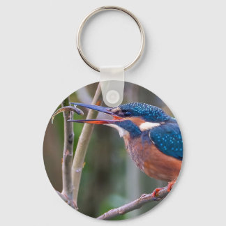 Porte-clés Keychain