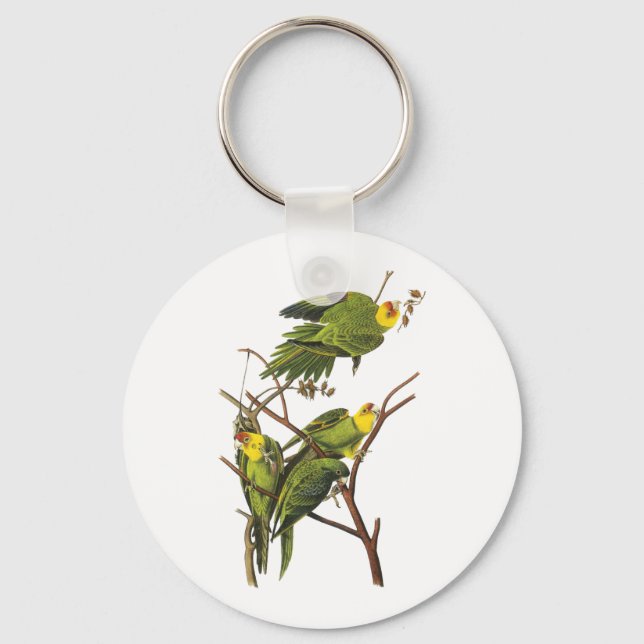 Porte-clés Keychain: Parakeet - by John Audubon (Recto)