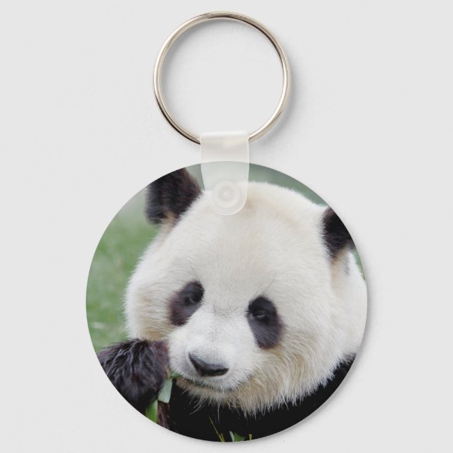 Porte-clés keychain Photo giant panda , animals 0216. (Recto)