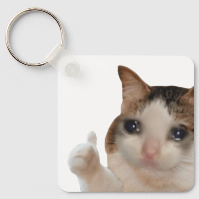 Porte-clés Keychain Thumbs Up Ok Cat Meme (Recto)