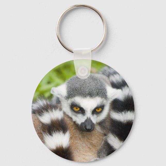 Porte-clés Keyring - Cute Lemur Stripey Tail (Recto)