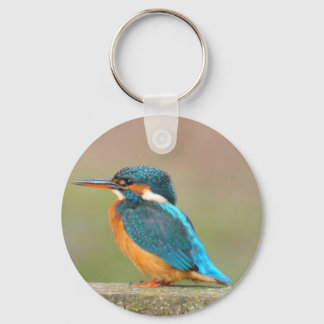 Porte-clés Kingfisher Bird Porte - clé