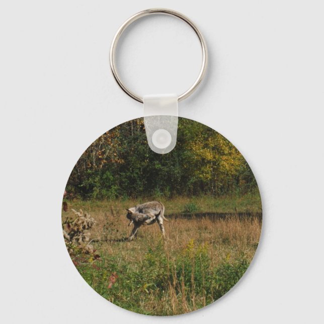 Porte-clés Kissing Butt Donkey (Recto)