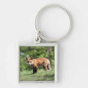 Porte-clés Kit de Fox rouge