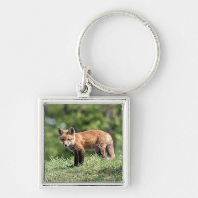 Porte-clés Kit de Fox rouge (Devant)