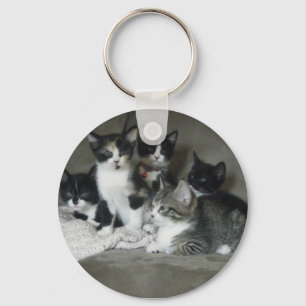 Porte-clés Kittens trop mignon