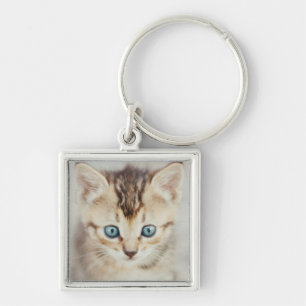Porte-clés Kitty observé par bleu