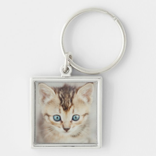Porte-clés Kitty observé par bleu (Devant)