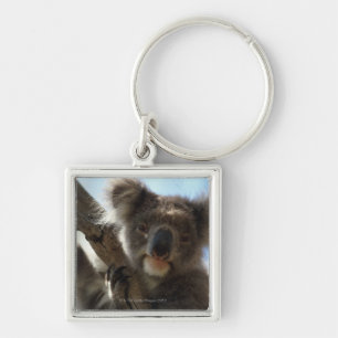 Porte-clés koala