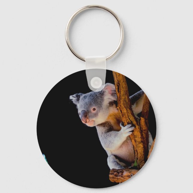 Porte-clés Koala Cute en gris arbre (Recto)