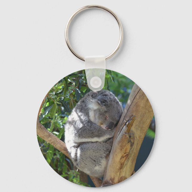 Porte-clés Koala dormant dans l'arbre (Recto)