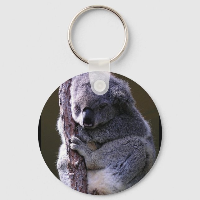 Porte-clés Koala en Porte - clé d'arbre (Recto)