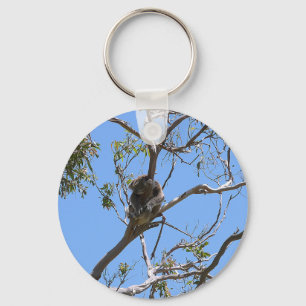 Porte-clés Koala Nap