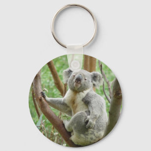 Porte-clés Kudley Koala
