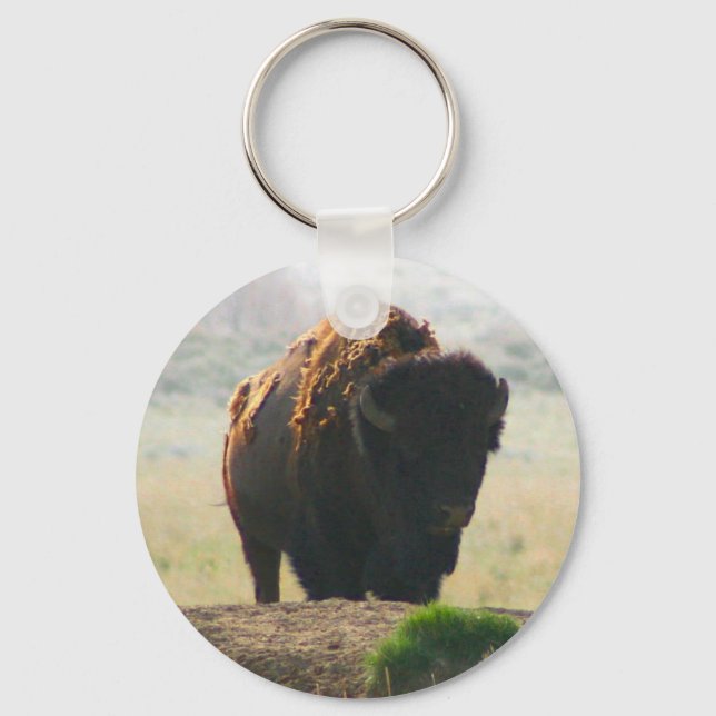 Porte-clés La Collection Buffalo II (Recto)