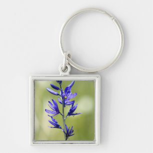 Porte-clés La floraison d'un lys de camas dans le comté de V