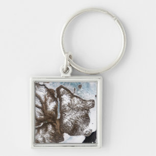 Porte-clés La glace de mer raye le rivage dans Greenlan