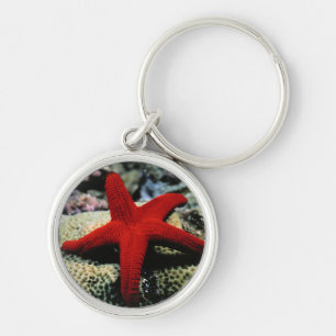 Porte-clés La Mer Rouge des poissons   d'étoile