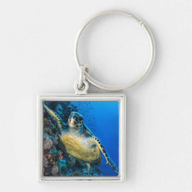 Porte-clés La Mer Rouge verte de la tortue de mer | (Devant)