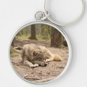 Porte-clés La paix des loups d'animaux La nature sauvage