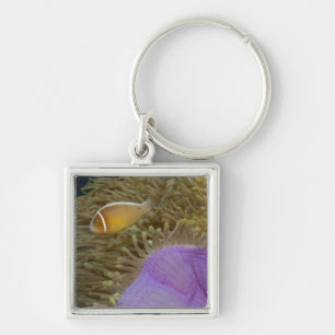 Porte-clés La vie sous-marine ; POISSONS : Clownfish (rose