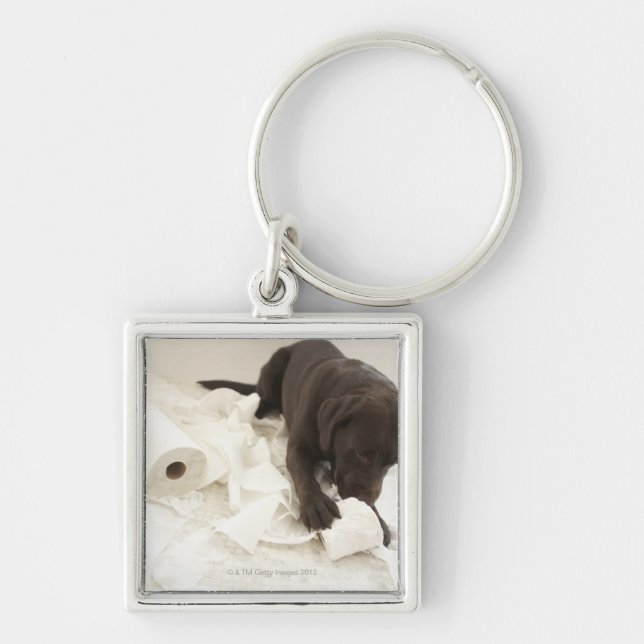 Porte-clés Labrador brun chocolat (Devant)