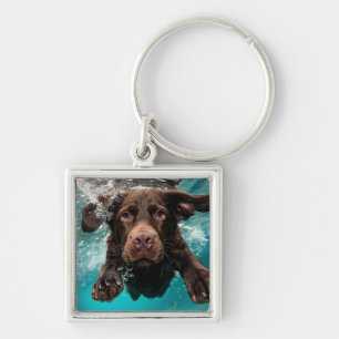 Porte-clés Labrador chocolat joueur nageant sous l'eau