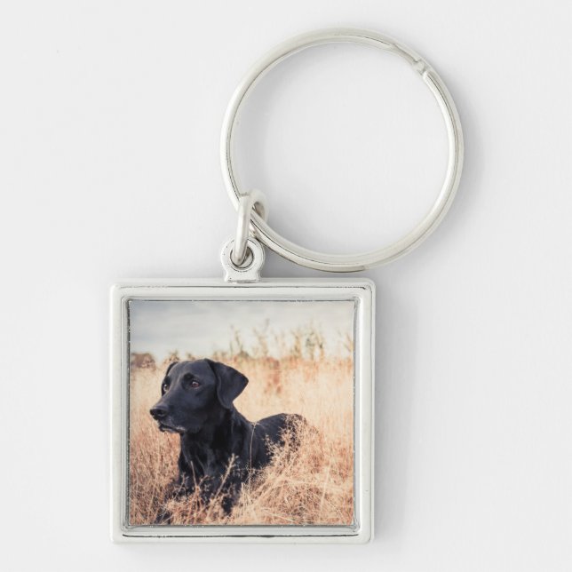 Porte-clés Labrador Noir En Graine Sèche (Devant)