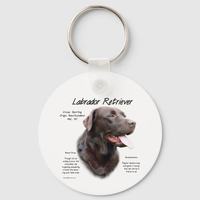 Porte-clés Labrador Retriever (chocolat) Histoire Conception (Recto)