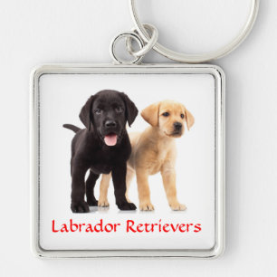 Porte-clés Labrador Retriever Puppies Premium Porte - clé