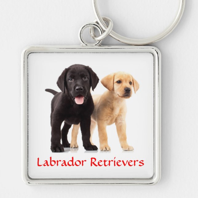 Porte-clés Labrador Retriever Puppies Premium Porte - clé (Devant)