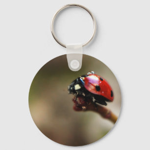 PORTE-CLÉS LABYBIRD