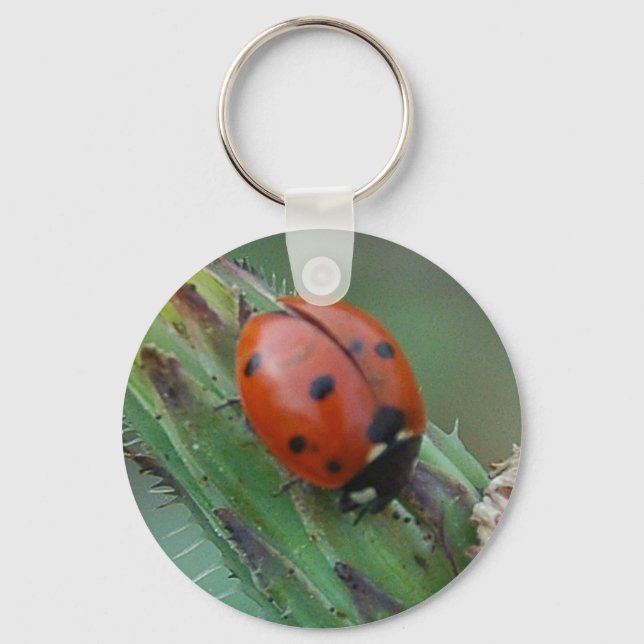 Porte-clés Lady Bug (Recto)
