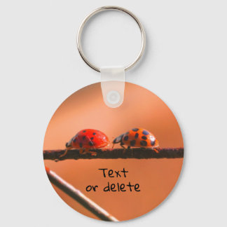 Porte-clés Ladybug Buddies Nature Personalized