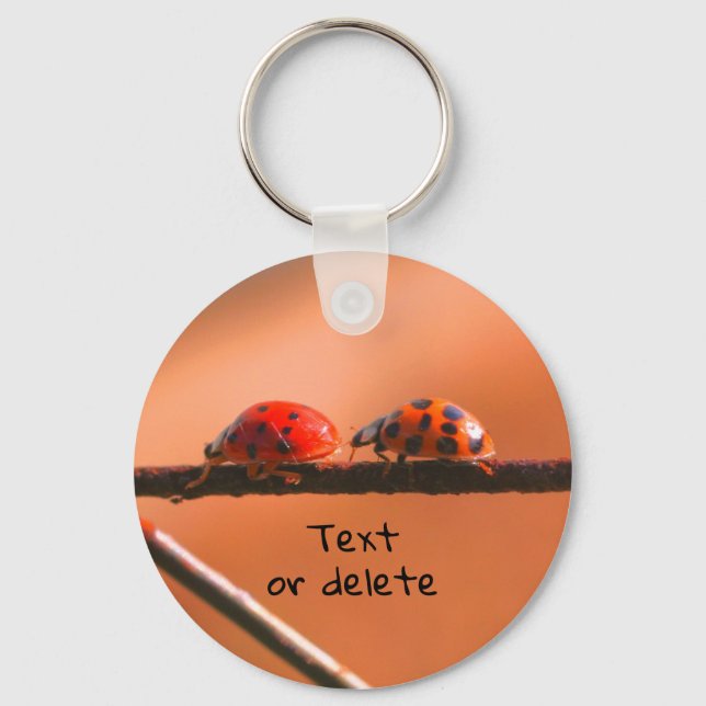 Porte-clés Ladybug Buddies Nature Personalized (Recto)