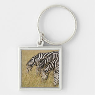 Porte-clés L'Afrique, Kenya, Maasai Mara