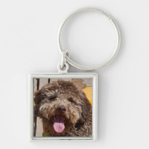 Porte-clés Lagotto Romagnolo allongé sur un banc en bois