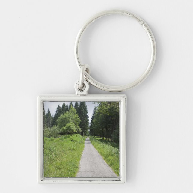 Porte-clés L'Allemagne, Thuringe, chemin dans la forêt (Devant)