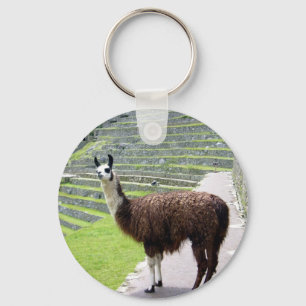 Porte-clés lama regarde